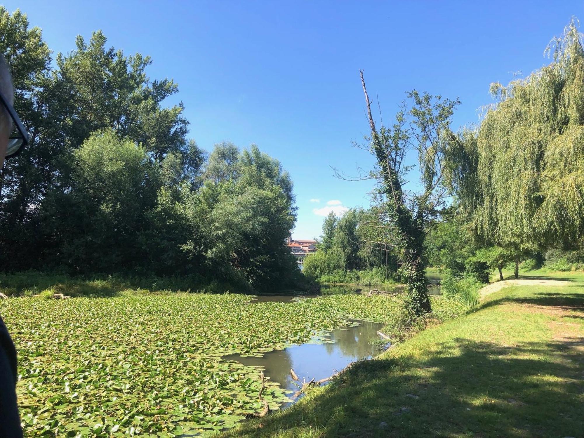 Beautiful Village House Next To Garonne River! Couladere Εξωτερικό φωτογραφία